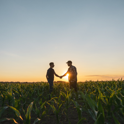 Male Farmer And Agronomist Shaking Hands In Corn Field